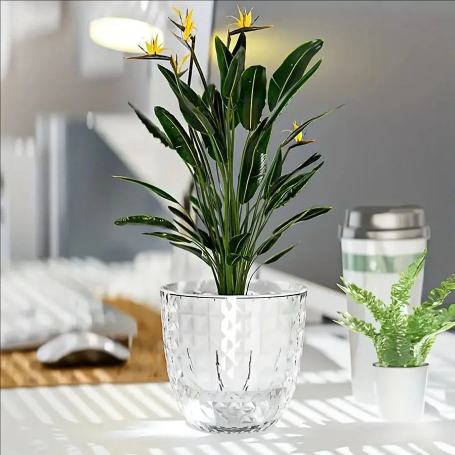 Plastic Transparent Lazy Self-absorbent Flowerpot Hydroponic Water-growing Plants Water-free Water Storage Basin