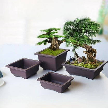 Rectangular Bonsai Training Pots Plastic Flowerpot with Drainage Tray Succulent Plants Pot Bonsai Plants Growing Pots Home Decor