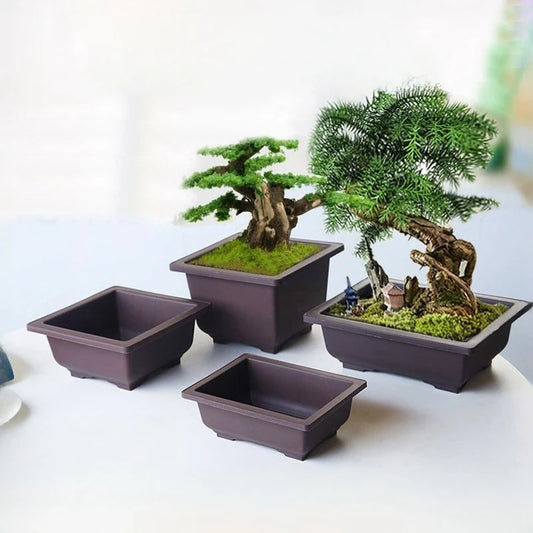 Rectangular Bonsai Training Pots Plastic Flowerpot with Drainage Tray Succulent Plants Pot Bonsai Plants Growing Pots Home Decor