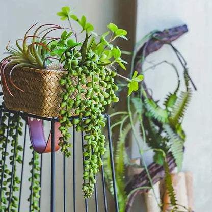 Lifelike Artificial Lush Hanging Succulents Home Wedding Green Plant Wall Hanging Vine Decorative Plant Wall Balcony Outdoor