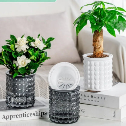 Creative Self Watering Hydroponic Plants Pot Plastic Removable Flowerpot Office Bonsai Decor