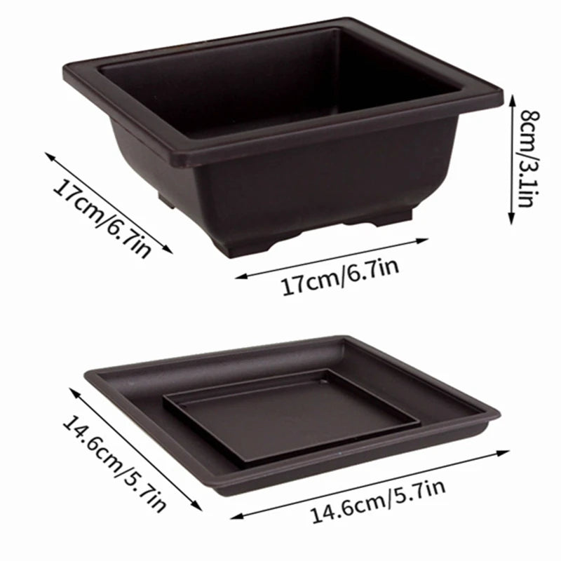 Rectangular Bonsai Training Pots Plastic Flowerpot with Drainage Tray Succulent Plants Pot Bonsai Plants Growing Pots Home Decor