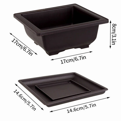 Rectangular Bonsai Training Pots Plastic Flowerpot with Drainage Tray Succulent Plants Pot Bonsai Plants Growing Pots Home Decor