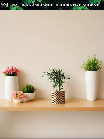 Modern Minimalist 3D Printed Plant Pot – Biodegradable Flower Planter for Home Decor, Eco-Friendly Sustainable Gift (Cheo)