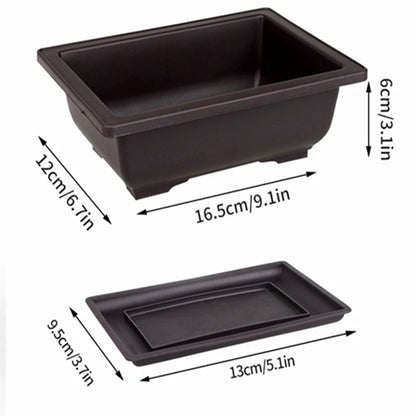 Rectangular Bonsai Training Pots Plastic Flowerpot with Drainage Tray Succulent Plants Pot Bonsai Plants Growing Pots Home Decor