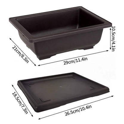 Rectangular Bonsai Training Pots Plastic Flowerpot with Drainage Tray Succulent Plants Pot Bonsai Plants Growing Pots Home Decor