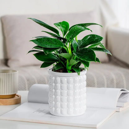Creative Self Watering Hydroponic Plants Pot Plastic Removable Flowerpot Office Bonsai Decor