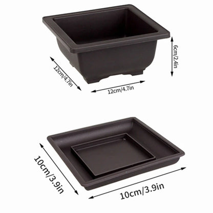 Rectangular Bonsai Training Pots Plastic Flowerpot with Drainage Tray Succulent Plants Pot Bonsai Plants Growing Pots Home Decor