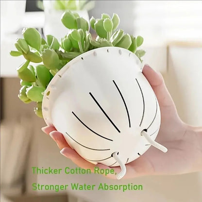Plastic Transparent Lazy Self-absorbent Flowerpot Hydroponic Water-growing Plants Water-free Water Storage Basin