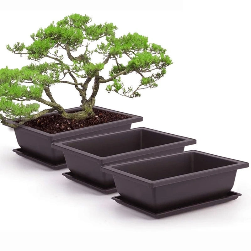 Rectangular Bonsai Training Pots Plastic Flowerpot with Drainage Tray Succulent Plants Pot Bonsai Plants Growing Pots Home Decor