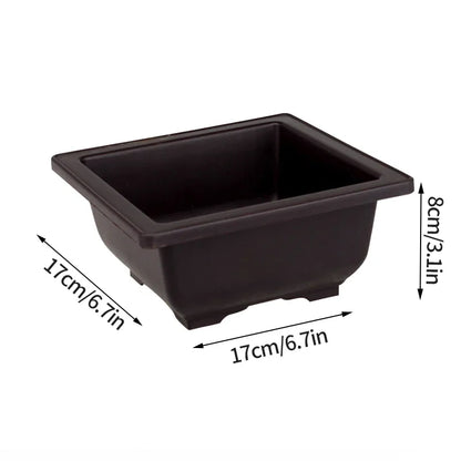 Rectangular Bonsai Training Pots Plastic Flowerpot with Drainage Tray Succulent Plants Pot Bonsai Plants Growing Pots Home Decor