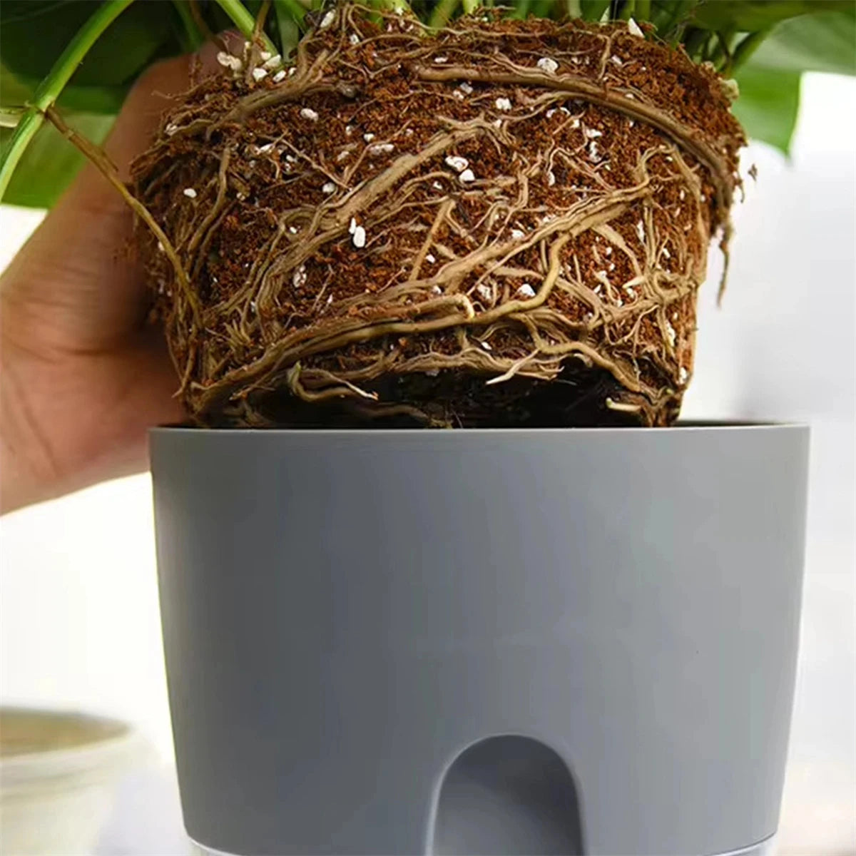 2 Layer Soilless Cultivation Flower Pot Cotton Rope Self Watering Hydroponic Plant Basin Automatic Irrigation Lazy Flowerpot 1Pc