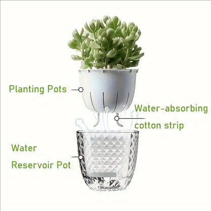 Plastic Transparent Lazy Self-absorbent Flowerpot Hydroponic Water-growing Plants Water-free Water Storage Basin