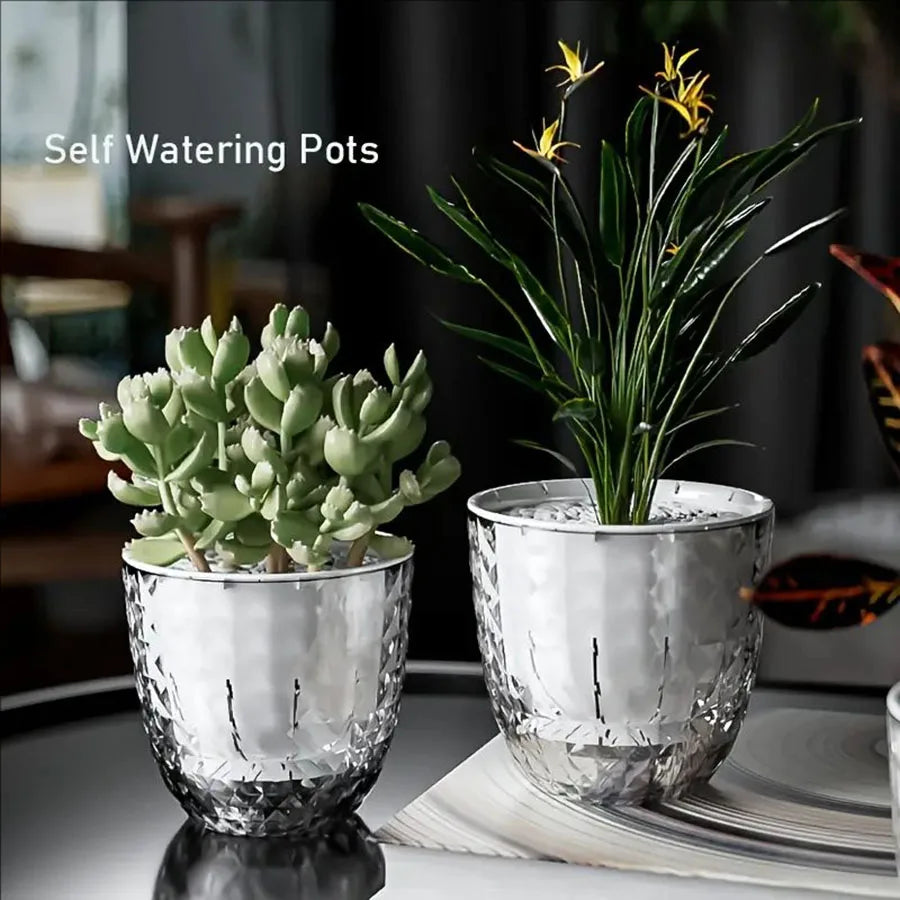 Plastic Transparent Lazy Self-absorbent Flowerpot Hydroponic Water-growing Plants Water-free Water Storage Basin