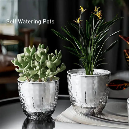 Plastic Transparent Lazy Self-absorbent Flowerpot Hydroponic Water-growing Plants Water-free Water Storage Basin