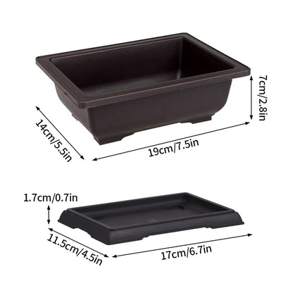 Rectangular Bonsai Training Pots Plastic Flowerpot with Drainage Tray Succulent Plants Pot Bonsai Plants Growing Pots Home Decor