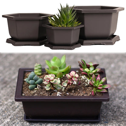 Rectangular Bonsai Training Pots Plastic Flowerpot with Drainage Tray Succulent Plants Pot Bonsai Plants Growing Pots Home Decor