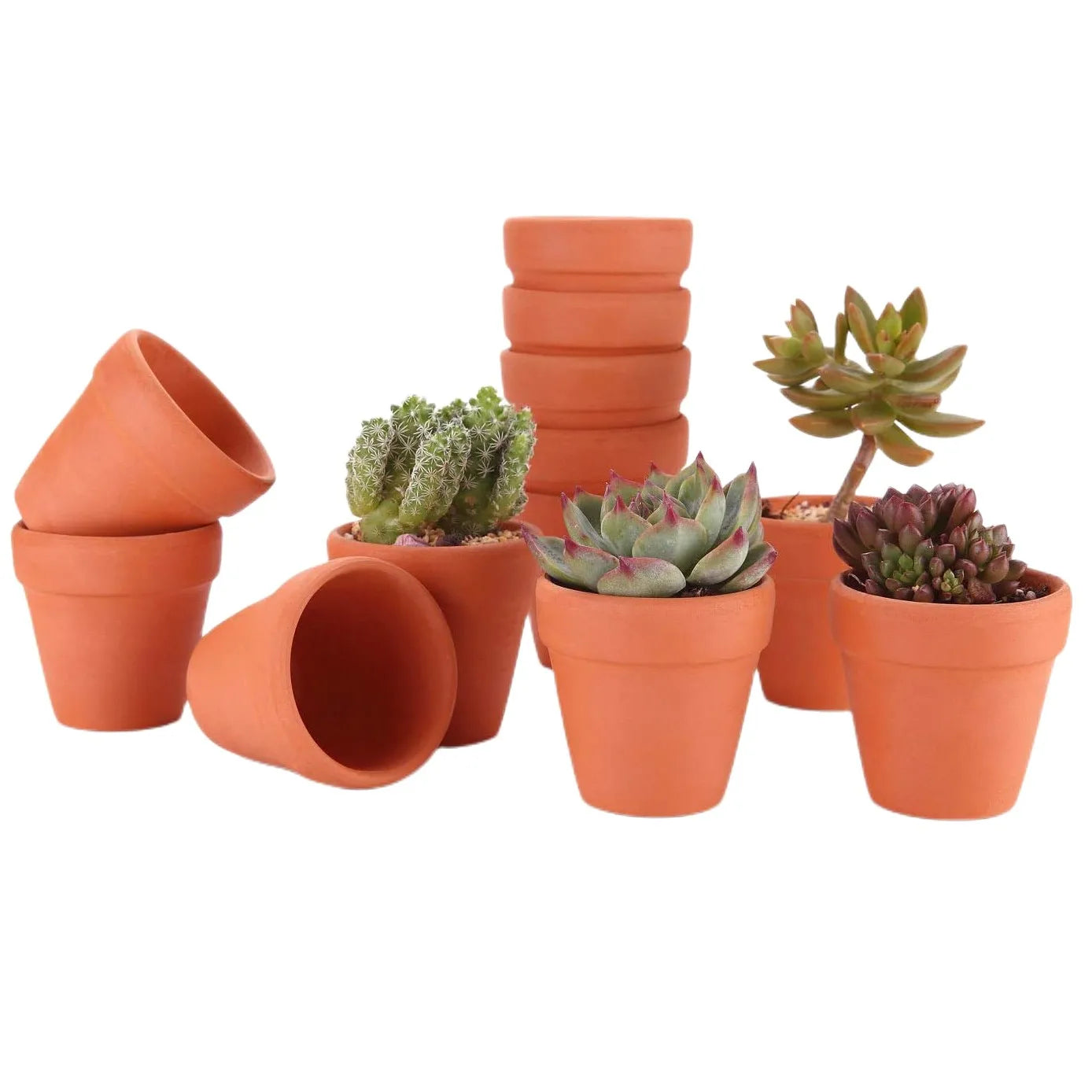 16 Pcs 1.8'' Terra Cotta Pots Pottery Planter Cactus Flower Pots Succulent Pot with Drainage Hole- Great for Plants,Crafts