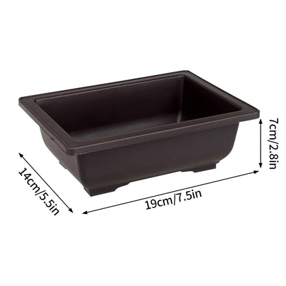 Rectangular Bonsai Training Pots Plastic Flowerpot with Drainage Tray Succulent Plants Pot Bonsai Plants Growing Pots Home Decor