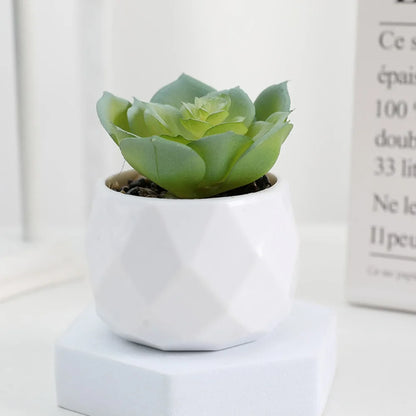 Artificial Succulent Bonsai Plants Simulation Succulents Mini Evergreen Bonsai Cactus Succulent Plastic Fake Plants Decor